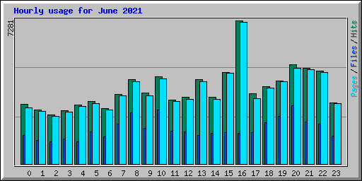 Hourly usage for June 2021